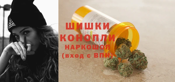 гидра Волоколамск