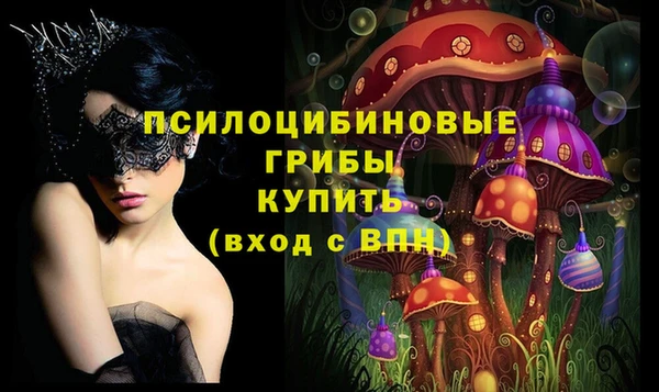 гидра Волоколамск
