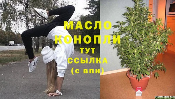 гидра Волоколамск