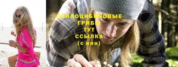 гидра Волоколамск